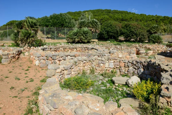 观摩意大利撒丁岛帕尔马韦拉考古遗址 — 图库照片