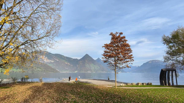 瑞士布奇公园的观景 — 图库照片