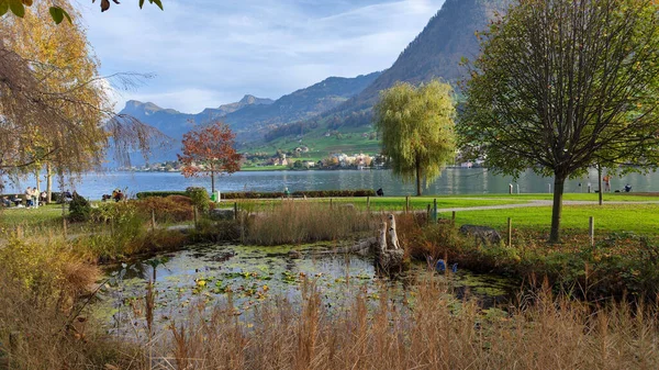 Vista Parque Buochs Suíça — Fotografia de Stock