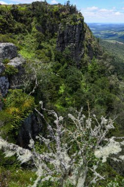 Landscape view at God's window on South Africa