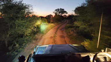 Güney Afrika 'daki Kruger Ulusal Parkı' nda turistlerin olduğu bir araba.
