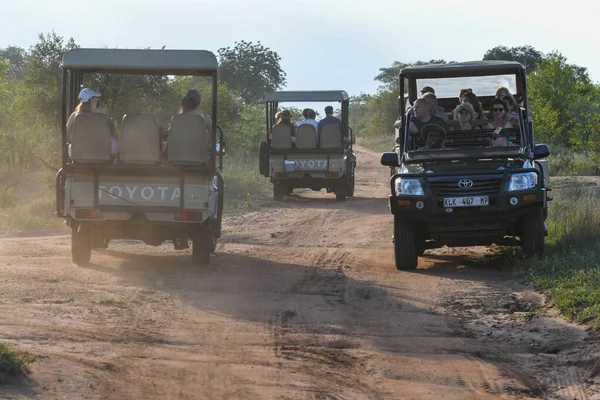 stock image Kruger park, South Africa - 9 January 2023:  trucks with tourists on Kruger national park in South Africa