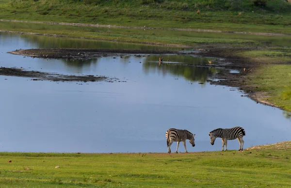 南非克鲁格国家公园的湖泊景观 — 图库照片