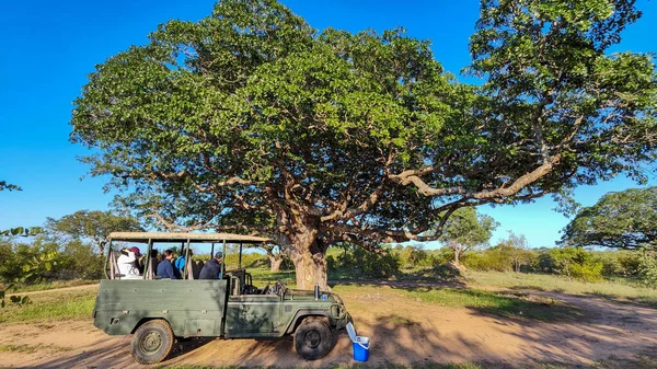 Kruger Park Sudafrica Gennaio 2023 Camion Con Turisti Nel Parco — Foto Stock