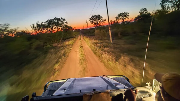 stock image Car with tourists on a safari at Kruger national park in South Africa