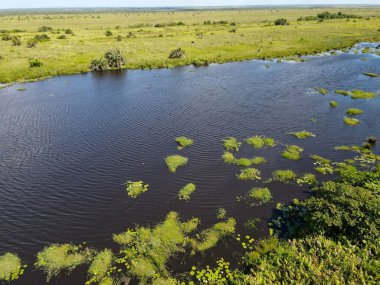 Güney Afrika 'daki Isimangaliso sulak arazi parkının manzarası