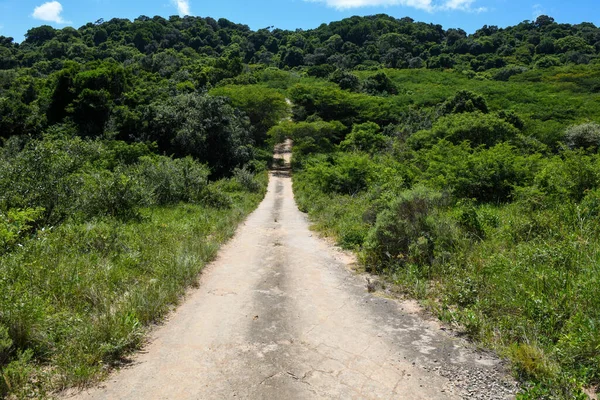 Dirt road on Isimangaliso wetland park in South Africa