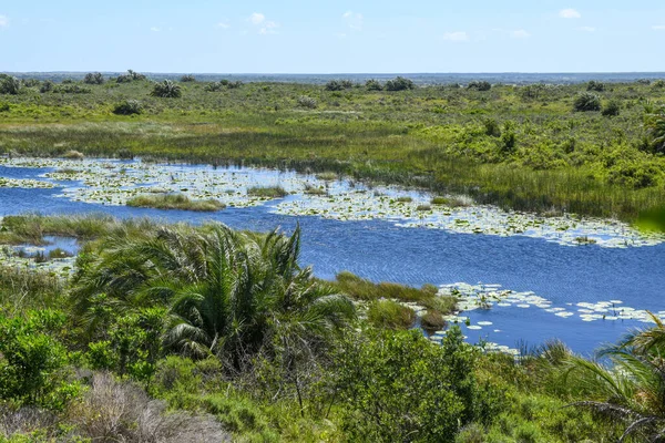 Landscape of Isimangaliso wetland park in South Africa