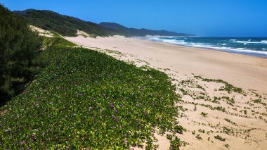 Cape Vidal, Güney Afrika - 14 Ocak 2023: Güney Afrika 'daki Isimangaliso parkındaki Cape Vidal plajındaki insanlar