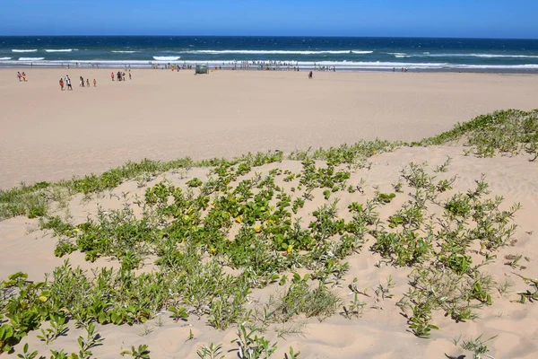 Пляж Джабула Сент Люсии Южная Африка — стоковое фото
