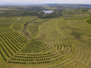 Güney Afrika 'daki Shepstone Limanı yakınlarındaki Oribi geçidinde insansız hava aracı görüntüsü.