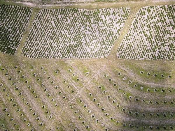 Widok Drona Polu Rolniczym Wąwozie Oribi Pobliżu Port Shepstone Republice — Zdjęcie stockowe