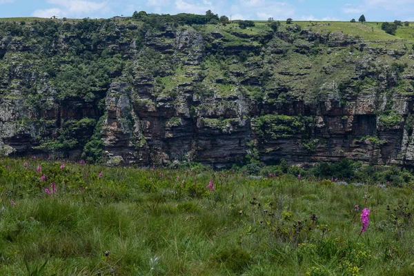 Вид Ущелину Орібі Поблизу Порт Шепстона Пар — стокове фото