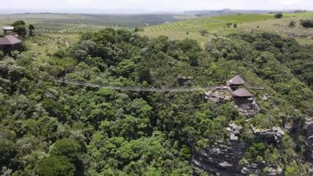 南非Oribi峡谷悬索桥上的无人机视图 — 图库视频影像