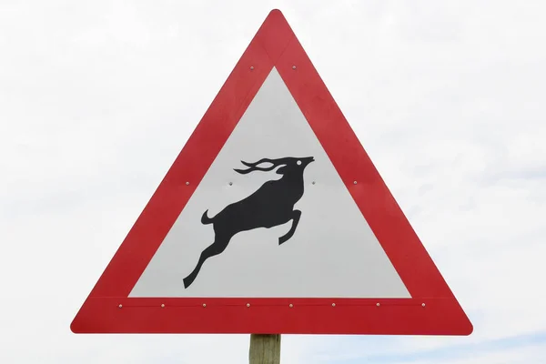 Sinal Estrada Cuidado Com Animais Hogsback África Sul — Fotografia de Stock