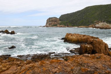 Güney Afrika 'daki Knysna yakınlarındaki kayalıklara bakın.