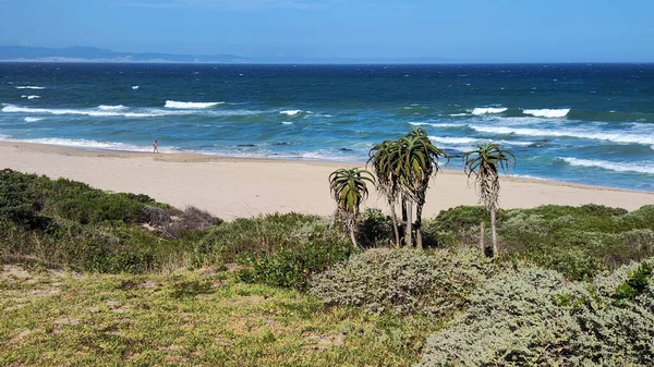 Vista Sulla Spiaggia Della Baia Jeffrey Sudafrica — Foto Stock