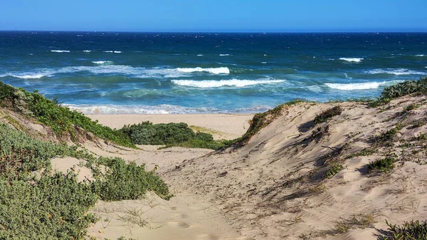 Vista Playa Bahía Jeffrey Sudáfrica —  Fotos de Stock