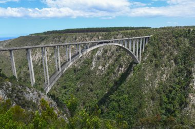 Güney Afrika 'daki Bloukrans köprüsünde bungee jumping