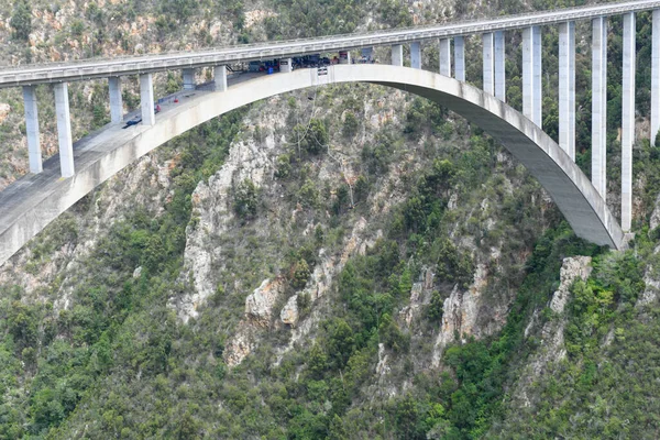 Банджі Стрибає Біля Моста Блукранс Південній Африці — стокове фото