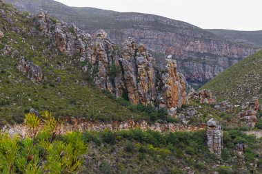 Güney Afrika 'da Barrydale yakınlarındaki dağ manzarası