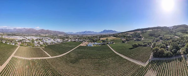 Vista Drone Vinhas Perto Paarl África Sul — Fotografia de Stock