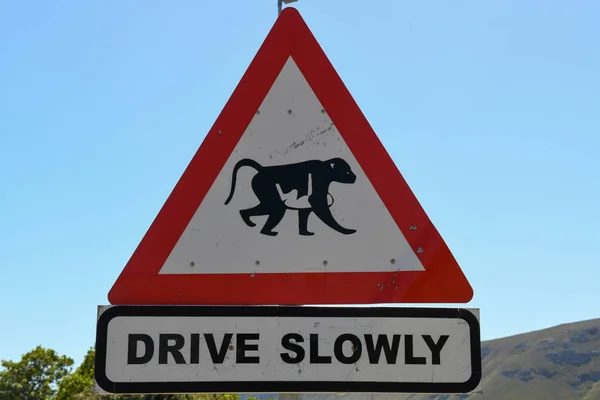 Sinal Estrada Cuidado Com Macacos África Sul — Fotografia de Stock