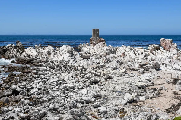 Colonia Pingüinos Stony Point Bahía Betty Sudáfrica —  Fotos de Stock