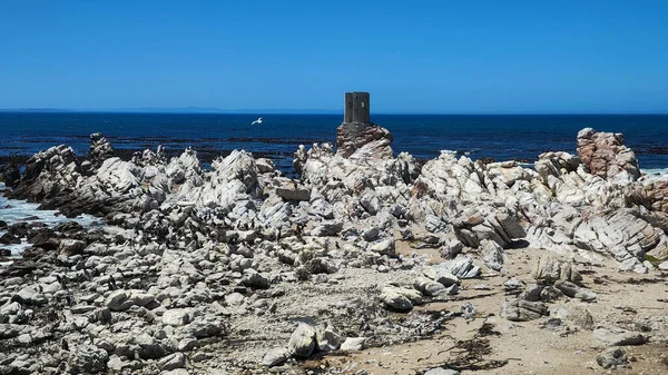 Pinguïn Kolonie Bij Stony Point Van Betty Bay Zuid Afrika — Stockfoto