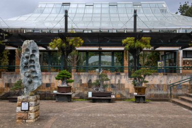 Cape Town, Güney Afrika - 5 Şubat 2023: Güney Afrika Cape Town 'daki Kirstenbosch botanik bahçesi