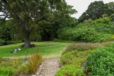 Güney Afrika 'daki Cape Town' daki Kirstenbosch botanik bahçesinin manzarası