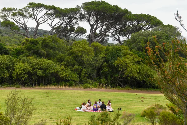 Cidade Cabo África Sul Fevereiro 2023 Pessoas Kirstenbosch Jardim Botânico — Fotografia de Stock