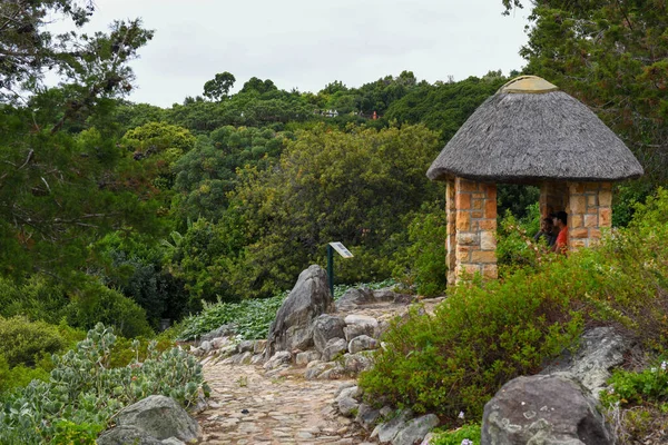 Vista Jardim Botânico Kirstenbosch Cidade Cabo África Sul — Fotografia de Stock