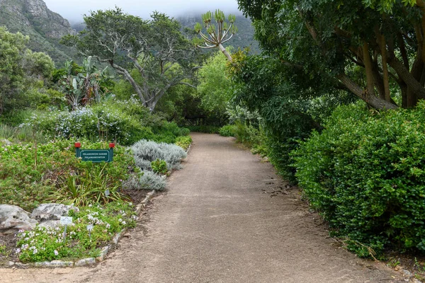 Vista Jardim Botânico Kirstenbosch Cidade Cabo África Sul — Fotografia de Stock