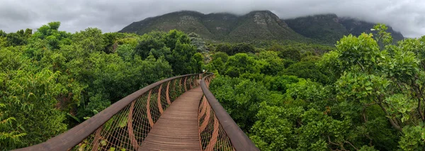 Вид Ботанический Сад Кирстенфех Кейптауне Юге Африки — стоковое фото