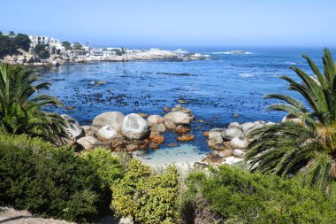 Güney Afrika 'daki Cape Town yakınlarındaki Clifton plajına bakın.