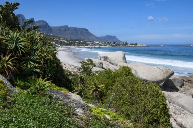 Güney Afrika 'daki Cape Town yakınlarındaki Clifton plajına bakın.