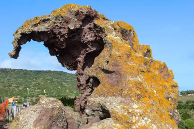 Elephant rock near Castelsardo on the island of Sardinia clipart