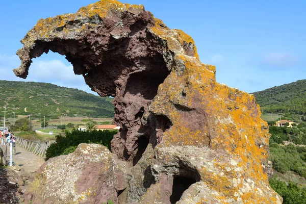 Βράχος Ελέφαντας Κοντά Στο Castelsardo Στη Σαρδηνία — Φωτογραφία Αρχείου