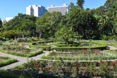 Cape Town, Güney Afrika - 2 Şubat 2023: Şirketin Güney Afrika 'daki Cape Town' daki bahçesi