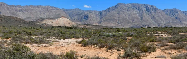 Paisaje Cerca Ruta Sudáfrica — Foto de Stock