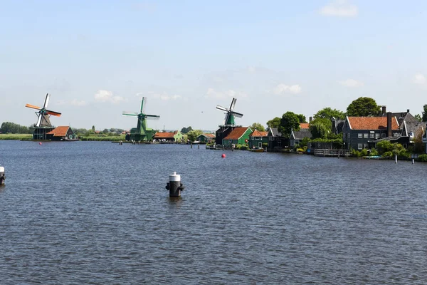 Вид Вітряні Млини Заесі Шанс Поблизу Амстердама Голландії — стокове фото