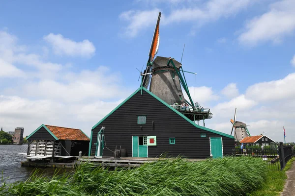 Zaanse Schans Juni 2023 Zicht Windmolens Van Zaanse Schans Bij — Stockfoto