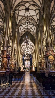 Viyana, Aurtria - 27 Haziran 2023: Viyana 'daki St. Stephans Katedrali