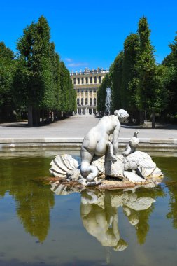Viyana, Avusturya - 29 Haziran 2023: Avusturya Viyana 'daki Schoenbrunn sarayının çeşmesine bakın