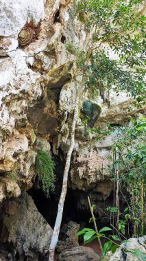 Küba 'daki Vinales' teki Mogote tepesindeki bir mağaranın girişi.