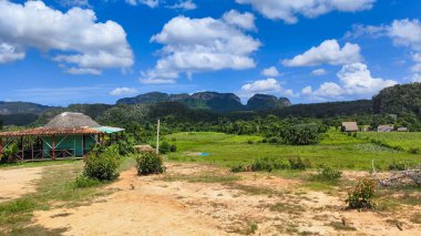 Küba 'daki Vinales' in kırsal manzarası