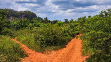 Küba 'daki Vinales' in kırsal manzarası