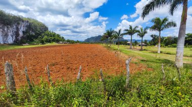 Küba 'daki Vinales' in kırsal manzarası