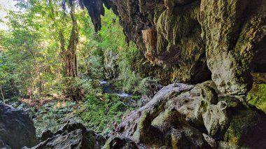 Küba 'daki El Nicho şelalesinin yakınındaki mağaraya bak.
